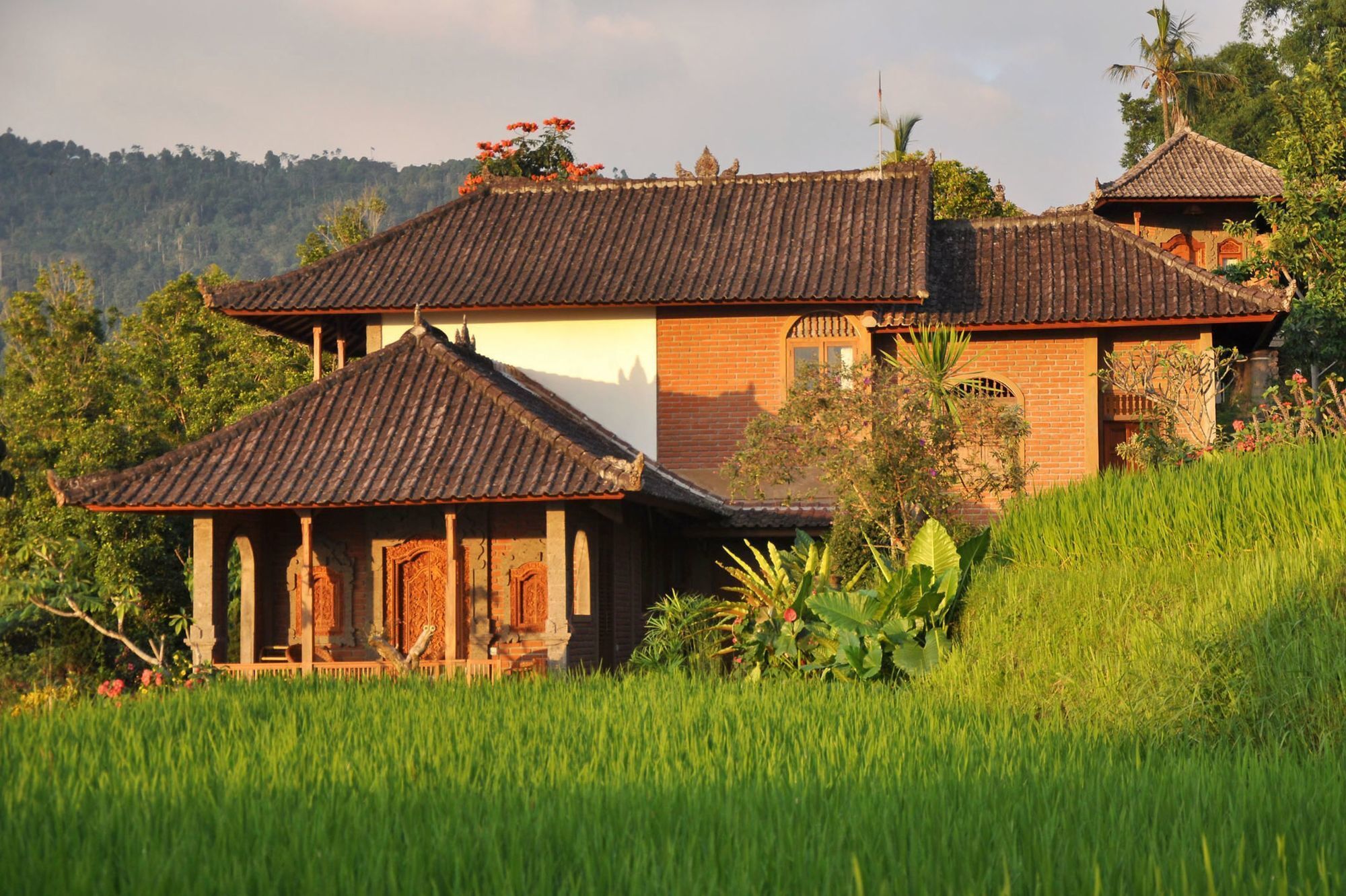 Puri Lumbung Cottages 格布勒格 外观 照片