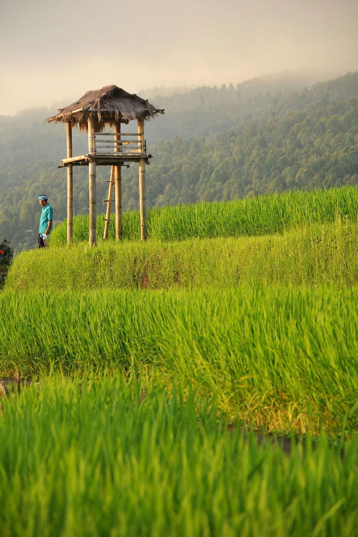 Puri Lumbung Cottages 格布勒格 外观 照片