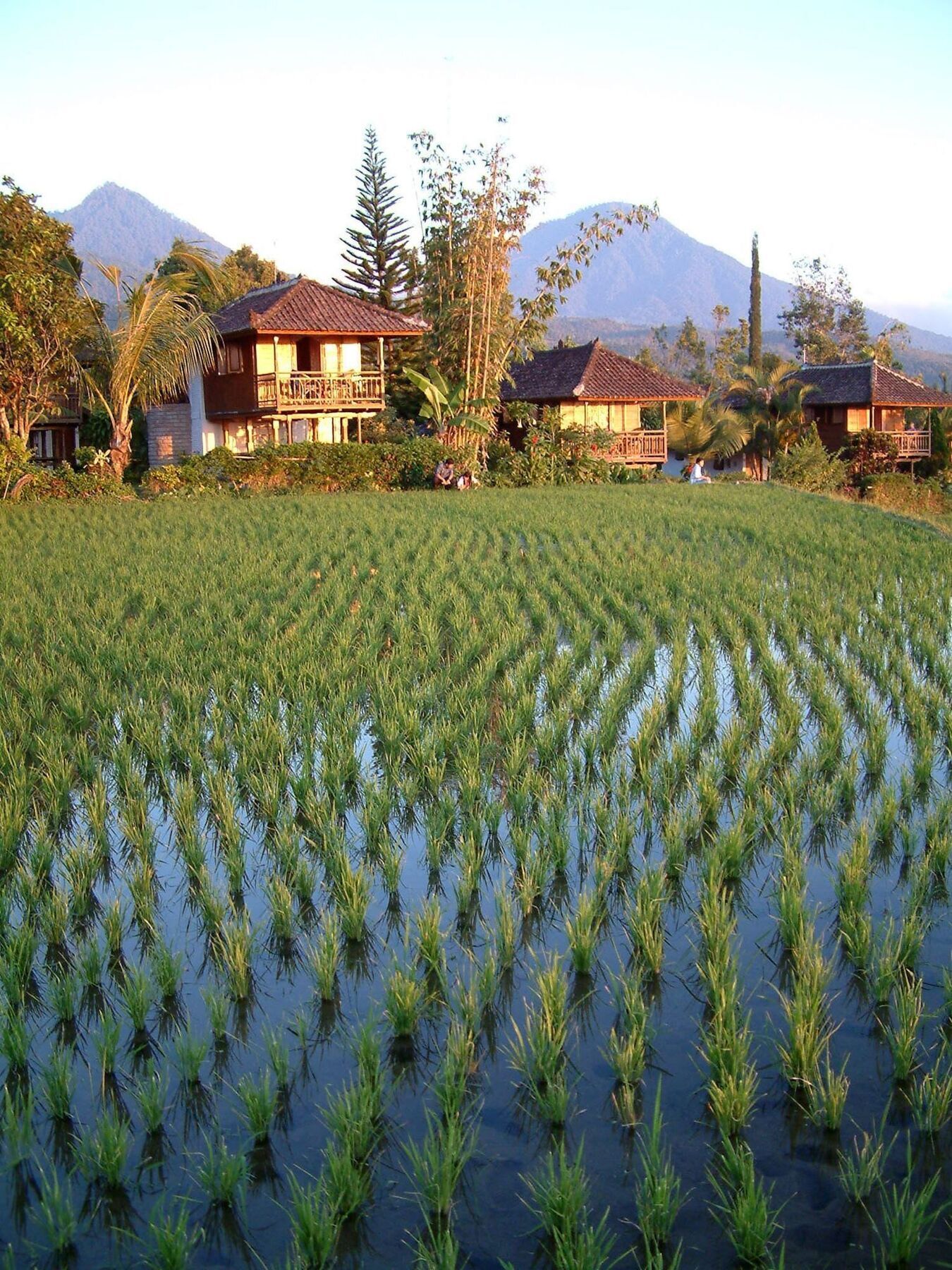 Puri Lumbung Cottages 格布勒格 外观 照片